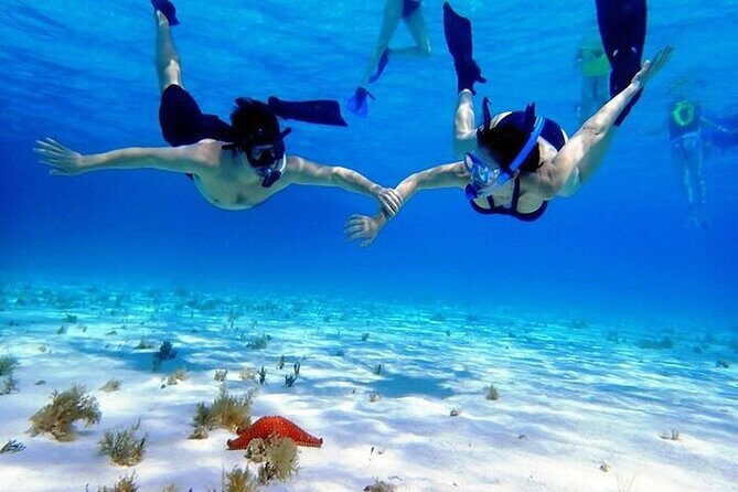 Private Tour in Cozumel El Cielo Sandbar and Reef Snorkeling - Stop 1 at Parque Nacional Arrecifes de Cozumel: Colombia and Palancar