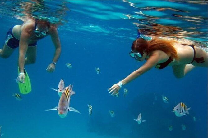 Private Tour of Cozumel in your own way Groups up to 6 People - Cozumel Center and the Municipal Market: your easiest win for local flavor