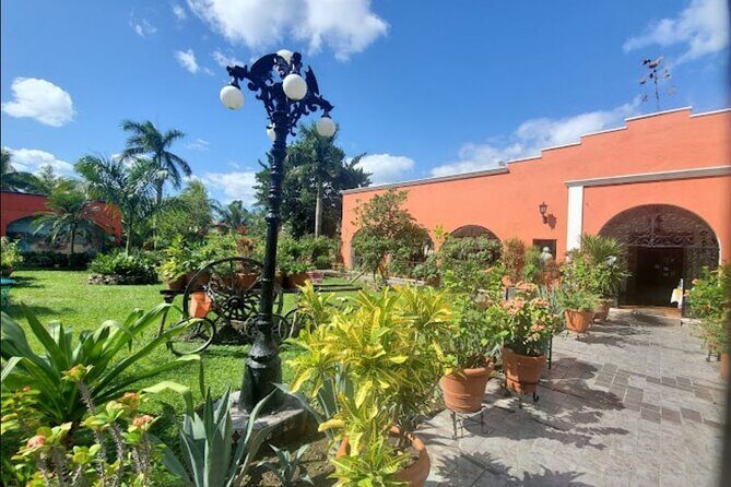 Private Tour of Cozumel in your own way Groups up to 6 People - Extras your guide can weave in: tequila tastings, Paco the Crocodile, chocolate