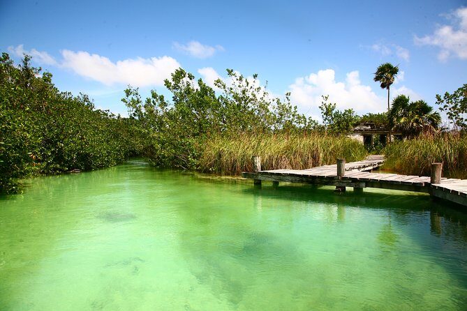 Private tour of Tulum Archaeological Site & Sian Ka'an Muyil - Stop 2: The Tulum Taco Break That Keeps the Day Human