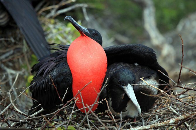 Private tour - Sian Ka´an Adventure - Price and Value: Is $619 Per Person Worth It?