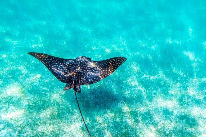 Private tour - Sian Ka´an Adventure - Stop 1: Sian Ka’an Biosphere Reserve Orientation (What You Learn First)