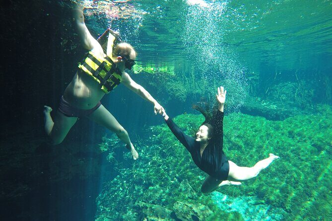 Private Tour Swim with Turtles, 2 Cenotes & Gopro - Who should book this tour, and who should skip it