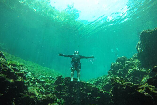 Private Tour Swim with Turtles, 2 Cenotes & Gopro - From your hotel to Akumal Bay: bracelet, rules, and turtle time