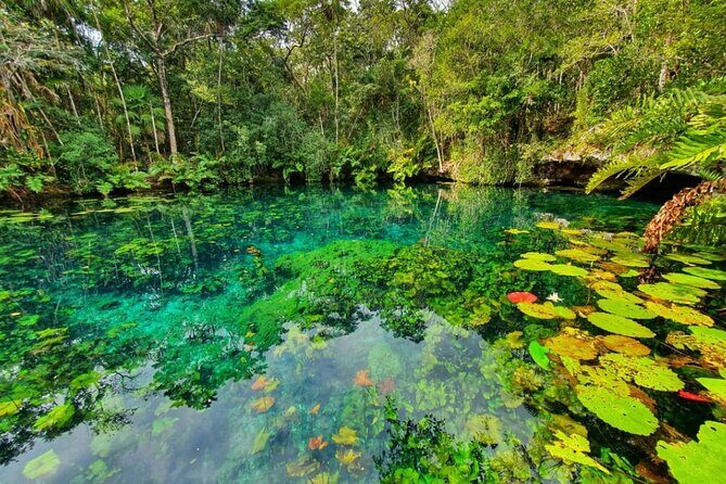 Private Tour Tankah 3 Zip Lines 3 Cenotes Canoe Snorkel Community - 3 Zip Lines: Flying Over the Mayan Jungle at Your Tempo