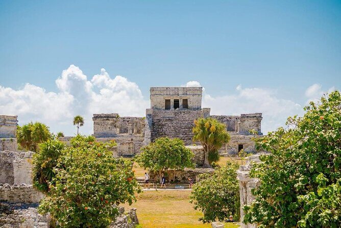 Private Tour to Tulum and Swimming with Turtles in Akumal - Key highlights you’ll actually feel