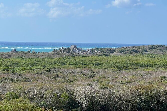 Private Tour to Tulum and Swimming with Turtles in Akumal - Who should book this Tulum + turtles private day?