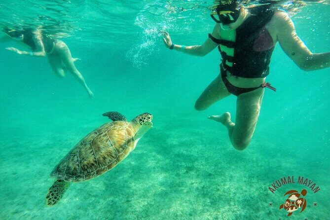 Private Tour to Tulum and Swimming with Turtles in Akumal - Tips to get the most from the ruins and the snorkel