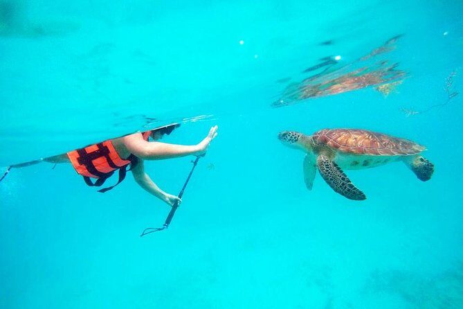 Private Tour Tulum, Reef & Cenote-Cavern from Playa del Carmen - A private day trip that actually feels private