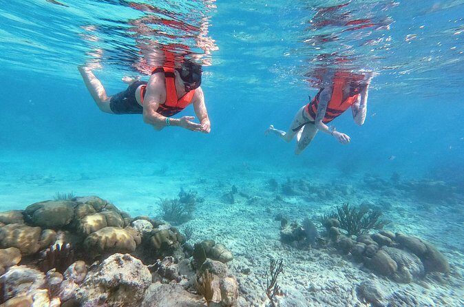 Private Tour Tulum Ruins and Snorkeling in National Park - Price and value: is $195 a good deal?