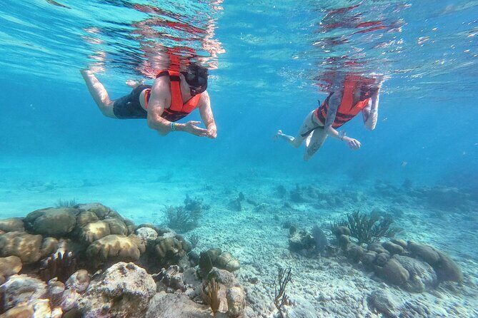 Private Tour Tulum Ruins and Snorkeling in National Park - Snorkeling in the national park: sea turtles, stingrays, and smart guidance