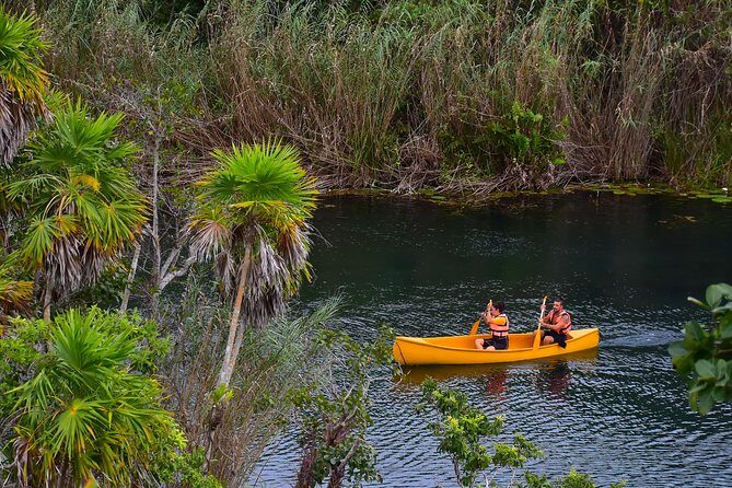 Private tour: Tulum Ruins & Jungle Adventure with Cenote - Who should book this tour (and who might rethink it)