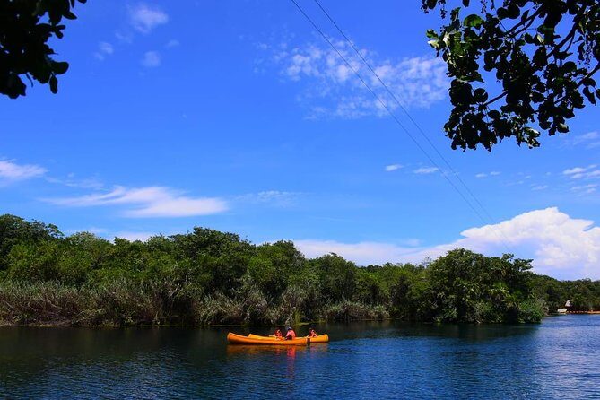 Private tour: Tulum Ruins & Jungle Adventure with Cenote - Step 2: Zipline, jungle trek, rappel, then snorkeling in the cenote