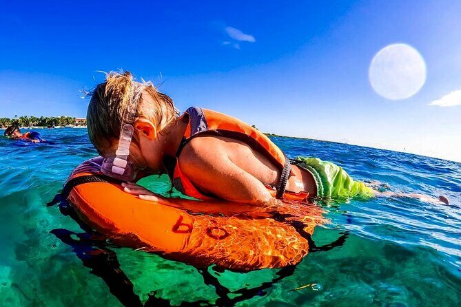 Private Tour Turtles Coral Reef Cenote Beach All inclusive - Akumal turtle snorkeling plus the coral reef you’ll actually remember