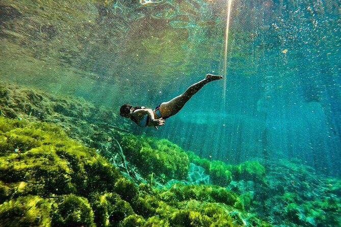 Private Tour Turtles Coral Reef Cenote Beach All inclusive - Jungle Fish Beach Club: a beach lunch that doesn’t feel like a cattle call