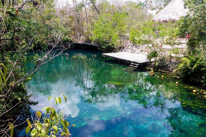 Private transfer for 5 hours (go dinner,cenotes, shopping and more) - Private Chauffeured Time in Tulum: The Real Point of This 5 Hours