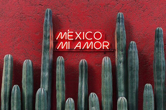 Private Transfer from Playa del Carmen to Tulum - The Actual Ride: What 3 to 5 Hours Typically Means for Your Day