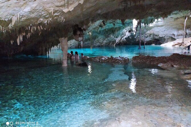 Private Tulum & Cenotes tour - Casa Cenote snorkeling: clear water, mangroves, and a guide watching your back