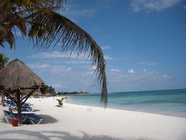Private Turtle Snorkel Adventure in Akumal - Key things that make this Akumal turtle snorkel worth your time