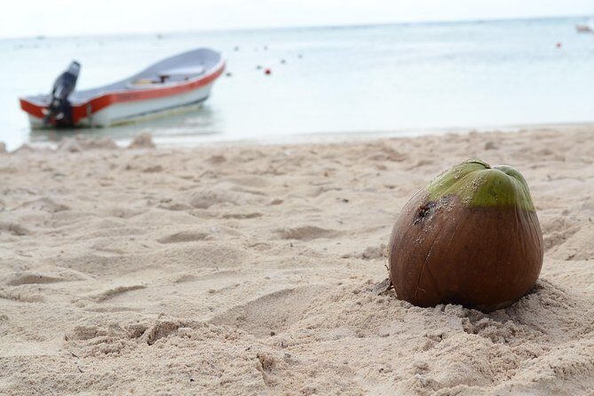 Private Turtle Snorkel Adventure in Akumal - Stop 1: Akumal Beach and how the morning is set up