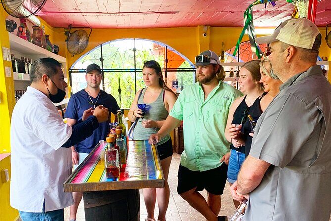 Private Van Service - Skyreef Beach Club Cozumel: Reefs, Snorkeling, and Relax Time