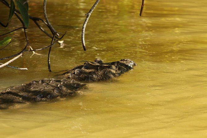 Private Yucatan Discovery Tour - Why the guide makes this tour feel personal: Salvador’s style