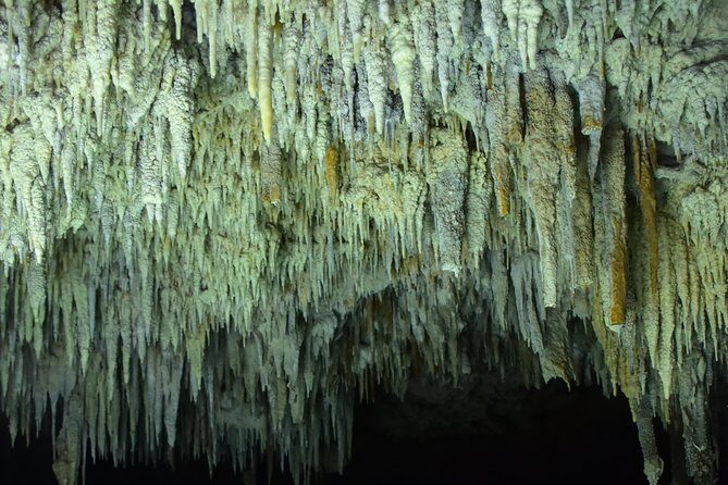 Río Secreto Playa del Carmen - The Mayan Welcome and the Lunch Break That Doesn’t Feel Like a Wait