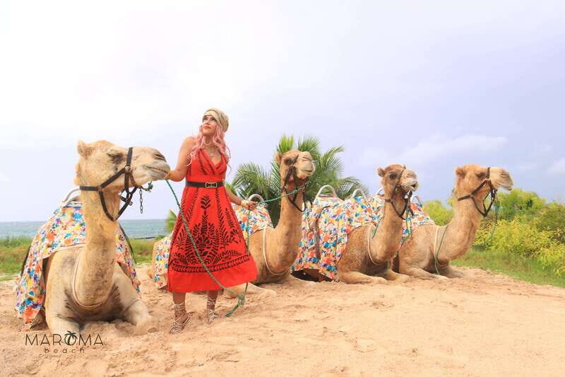 Riviera Maya: Camel Caravan Expedition and Beach Club Access - The Ride Itself: Maroma Beach, Dunes, and Jungle Sounds