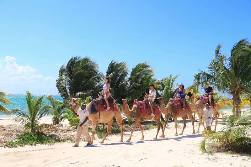Riviera Maya: Camel Caravan Expedition and Beach Club Access - Price and Value: Is $168 Worth It?