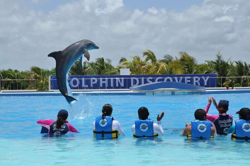 Riviera Maya: Dolphin Encounter with Beach Club Access - Key things to know before you go