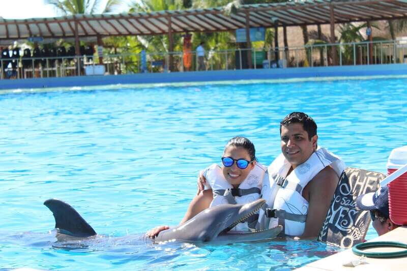 Riviera Maya: Dolphin Encounter with Beach Club Access - Marine mammal specialists and conservation talk that actually helps