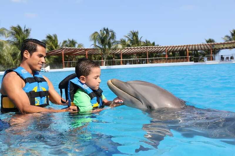 Riviera Maya: Dolphin Encounter with Beach Club Access - Meeting Point and getting there without drama