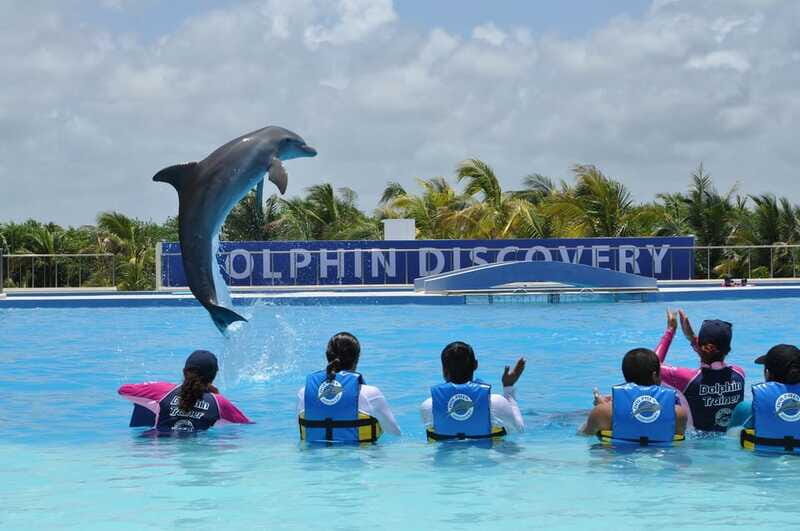 Riviera Maya: Dolphin Encounter with Beach Club Access - Who this suits best (and who should skip)