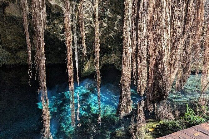 Riviera Maya Half Day Casa Jaguar Cenote, Zipline and ATV - ATV option (Plus): the 16 km jungle ride and who it suits