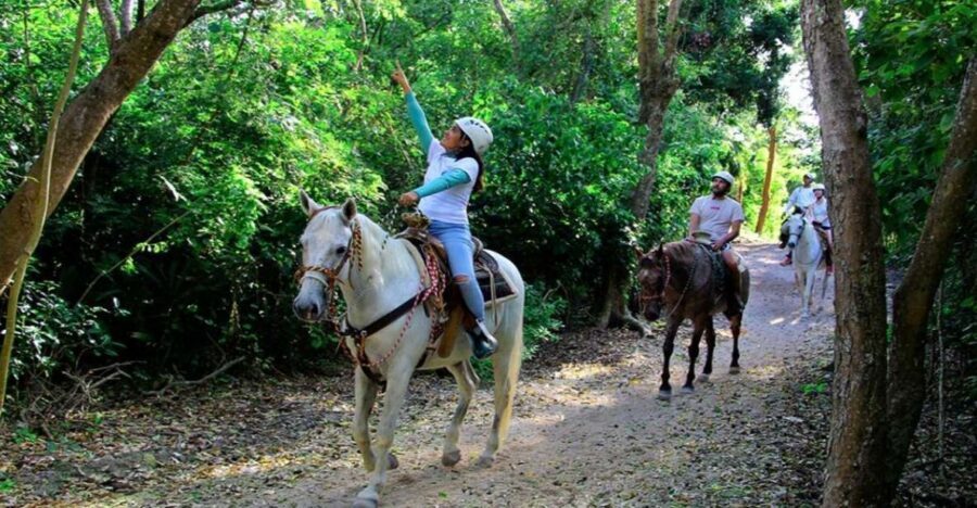 Riviera Maya: Horseback Riding at Rancho Bonanza - A Beginner-Friendly Horse Ride Through the Riviera Maya