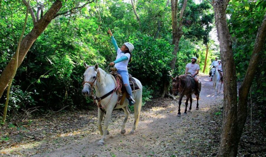 Riviera Maya: Horseback Riding at Rancho Bonanza - What You Get Included vs. What Costs Extra
