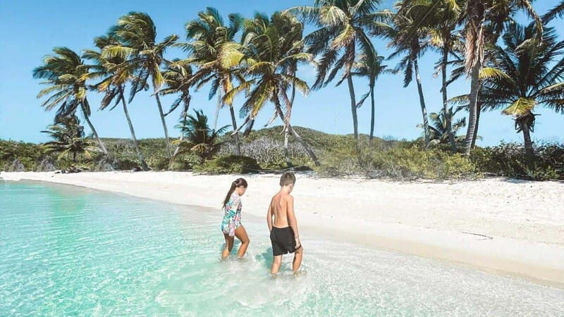 Riviera Maya: Isla Contoy and Isla Mujeres Full-Day Tour - Isla Contoy National Park snorkeling in the Mesoamerican Barrier Reef