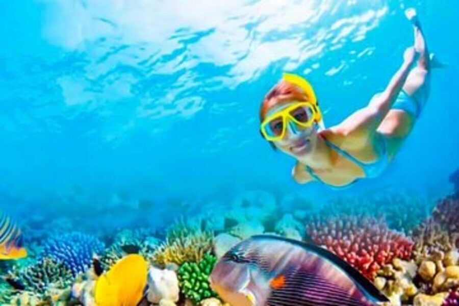 Riviera Maya: Isla Contoy and Isla Mujeres Full-Day Tour - Boat cruise vibes: open bar and the Caribbean travel window
