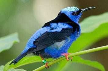 Riviera Maya: Puerto Morelos 4-Hour Bird Watching Tour - Key takeaways