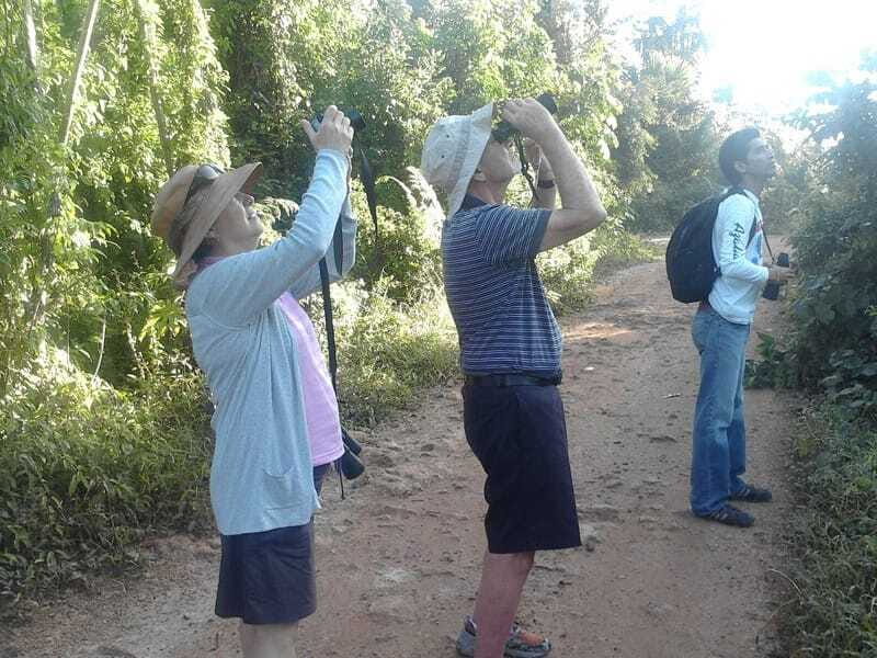 Riviera Maya: Puerto Morelos 4-Hour Bird Watching Tour - Migratory Birds on the First Stop: Why Twice-a-Year Timing Matters