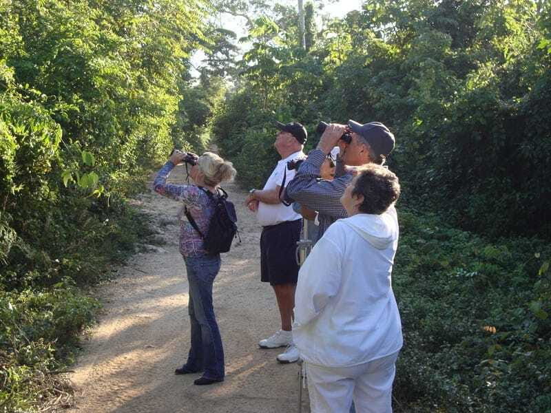 Riviera Maya: Puerto Morelos 4-Hour Bird Watching Tour - Sustainability and Mayan Culture Support: The Real-World Reason This Matters