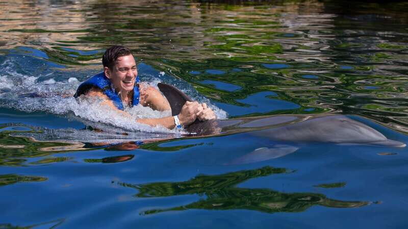 Riviera Maya: Swim with dolphins Interax - Key things to know before you go