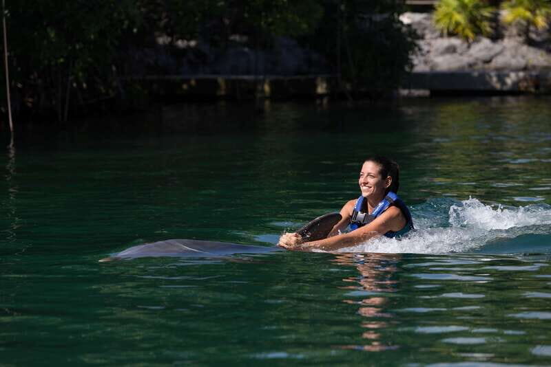 Riviera Maya: Swim with dolphins Interax - Swim With Dolphins Interax: what “14 in-water activities” really means
