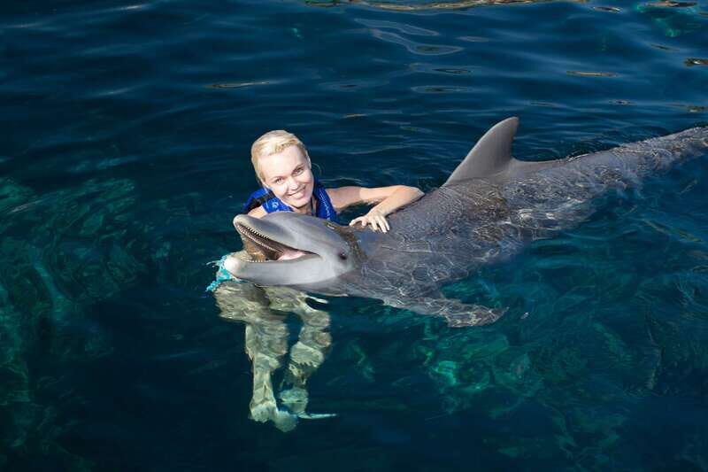 Riviera Maya: Swim with dolphins Interax - The 45-minute session: from welcome games to dolphin kiss