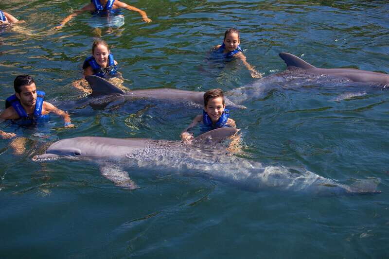 Riviera Maya: Swim with dolphins Interax - Practical tips: what to bring and how to avoid start-day headaches