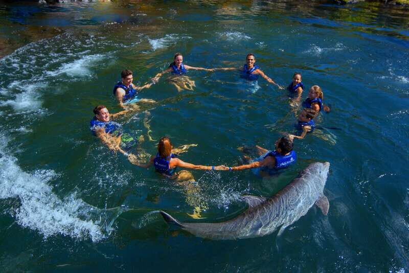 Riviera Maya: Swim with dolphins Interax - Who should book this dolphin swim, and who might skip it