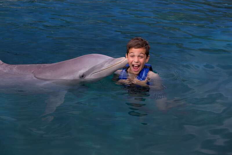 Riviera Maya: Swim with dolphins Interax - Where it starts: meeting next to Xcaret Park parking lot