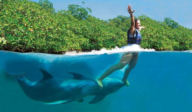 Riviera Maya: Swim with dolphins Primax - The Location: Meeting Next to Xcaret Park Parking Lot