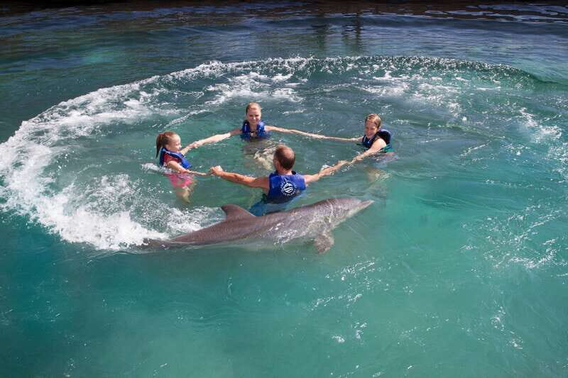 Riviera Maya: Swim with dolphins Primax - Included Extras That Save You a Small Hassle