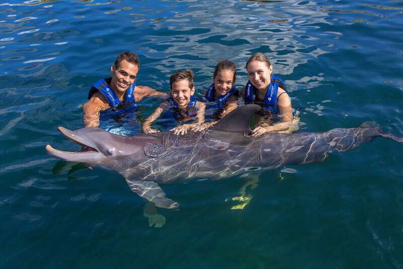 Riviera Maya: Swimming Experience with Dolphins - Riviera Maya Dolphin Swim: What the 45 Minutes Actually Gives You